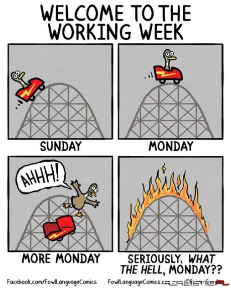 Pretty Much Sums It Up