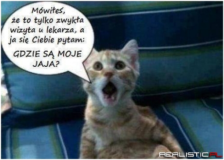 Pytam się ...