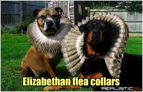 Ruff on the Neck