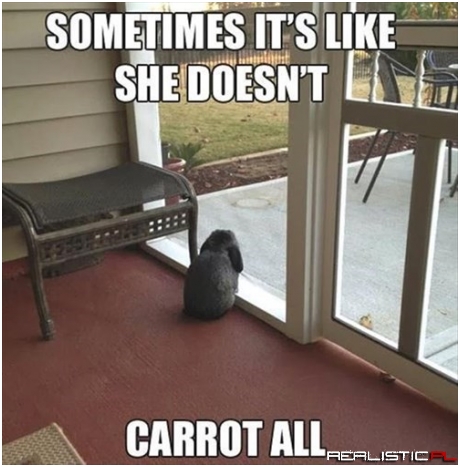 She's All Hopped Out