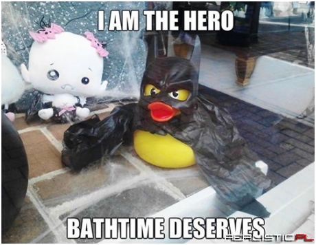 The Duck Knight