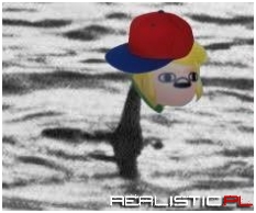 The Lonk Ness Monster