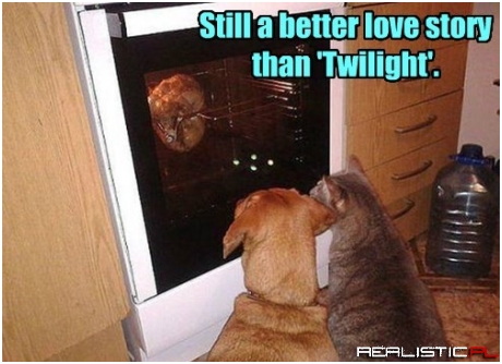 The Turkey Glitters in the Oven Light