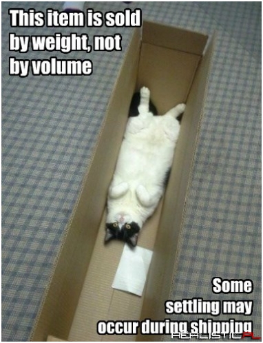They Could Have Fit at Least Two Cats in Here