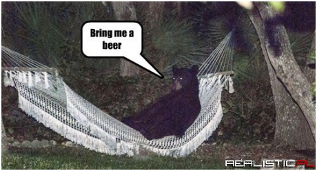 This Bear Reminds Me of My Husband