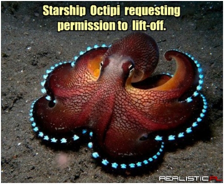 To Boldly Go Where No Cephalopod Has Gone Before