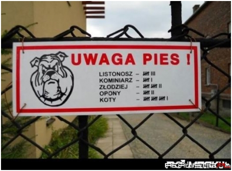 Uwaga pies