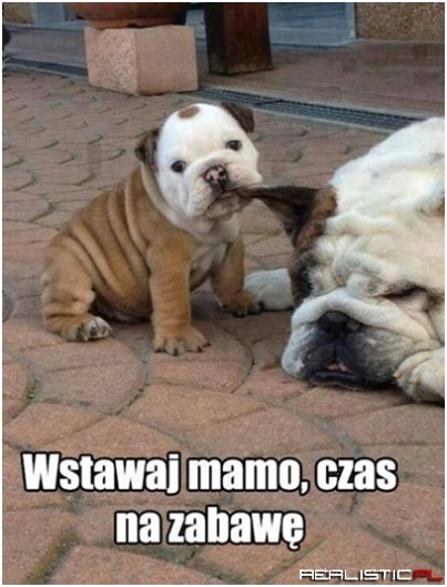 Wstawaj mamo