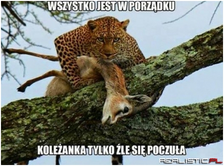 Wszystko jest wporządku