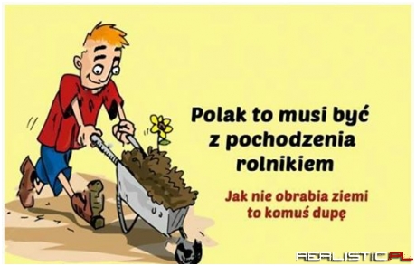 Polak