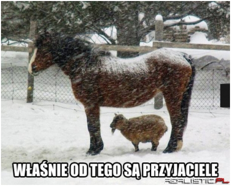 Dobrze mieć takiego przyjaciela