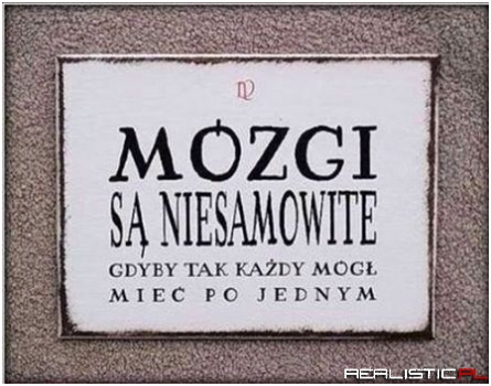 Mózgi są niesamowite