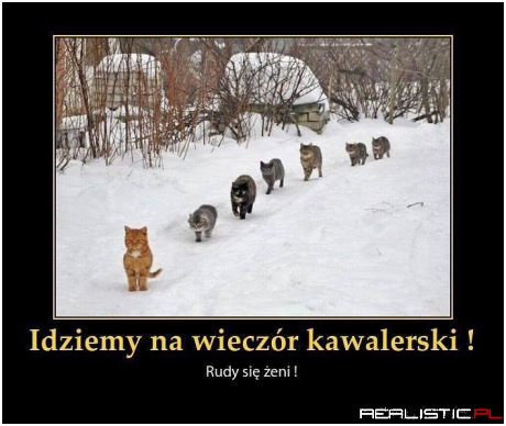 Rudy się żeni