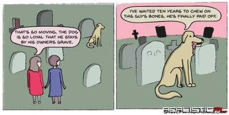 A Dog's Loyalty Knows No Bounds