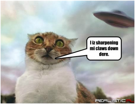 Aliens Only Ever Tried Their Probes on Kittehs Once