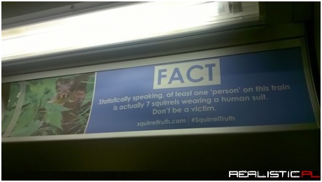 Be Sure to Spot the Squirrels Among Us