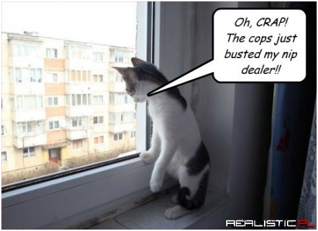 Better Lie Low for While