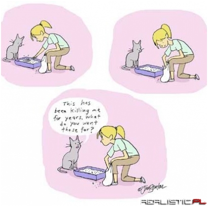 Cats Have Questions About Human's Strange Behavior