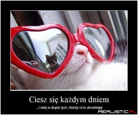 Ciesz się każdym dniem