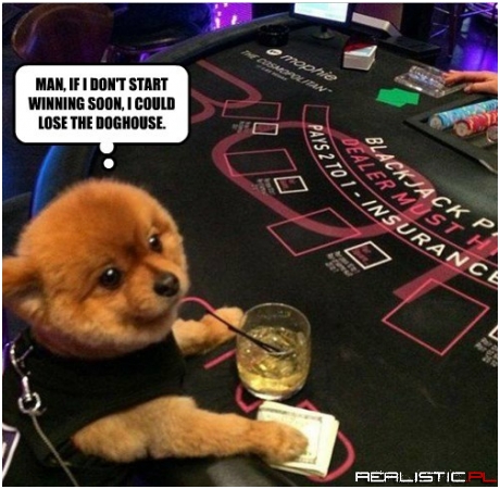 Daddy Needs a New Collar