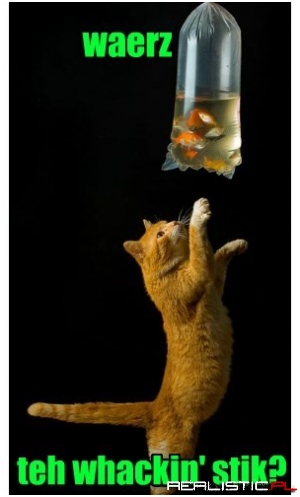 Datz a Pinata If I Eber Saw Wun