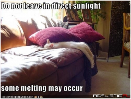 Do not leave in direct sunlight some melting may occur