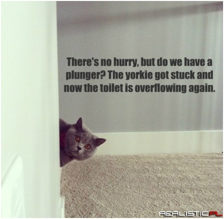 Don't Get Up, I Got This