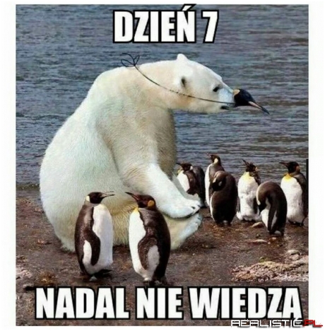 Dzień 7