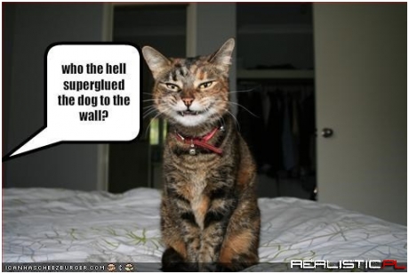 Getting a Dog Has Actually Been Pretty Great