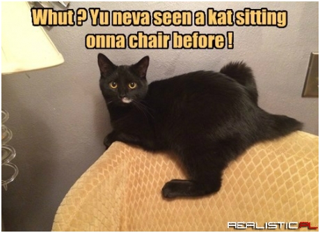 Go Bother the Dog, Human