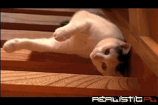 Have You Ever Felt so Lazy You Just Slid Down the Stairs