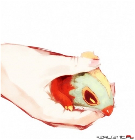 Hawlucha at the Palm of Your Hands