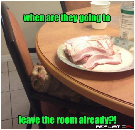 I Can't Hold Off Much Longer