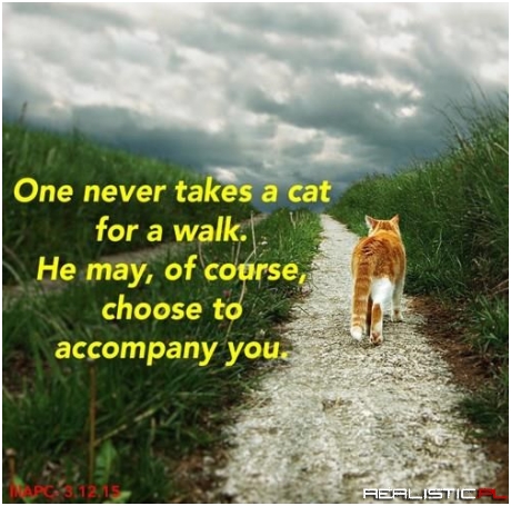 I consider it an honour