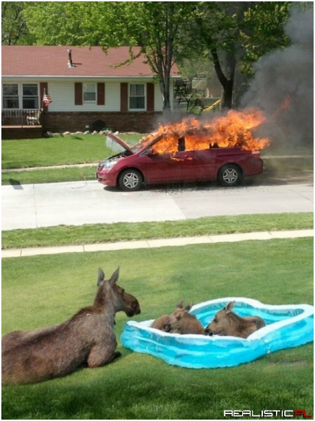 I Have So Many Questions...