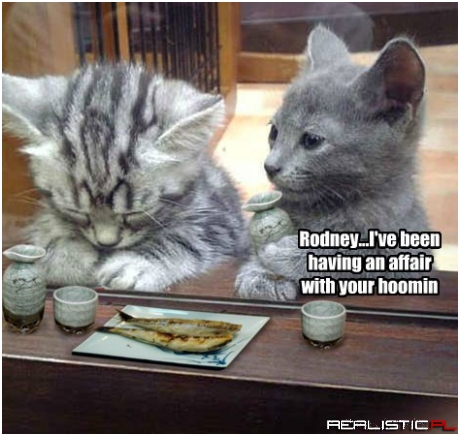 I Knew It...I Could Feel It In Her Belly Rubs