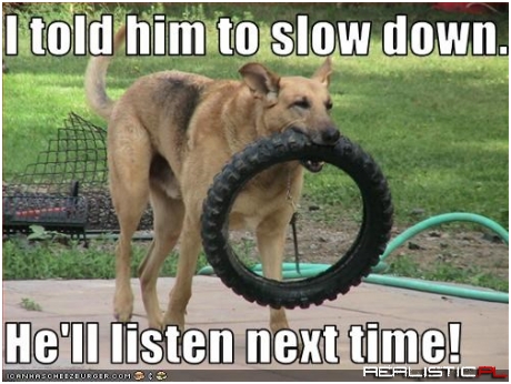 I told him to slow down... He'll listen next time!