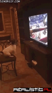 I Wanna Be a Cowboy, Baby