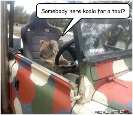 I'm Gonna Roo the Day This Pun Gets Posted