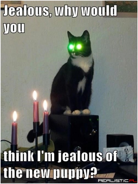 I'm Green With Happiness