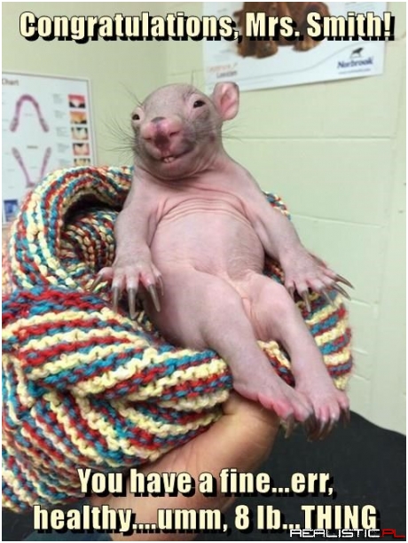 I'm Sure He'll Grow Into His Claws