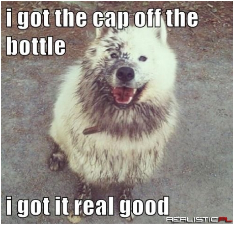 In Your Face, Bottle!