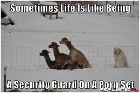 It's a Specific, Yet Accurate Assessment