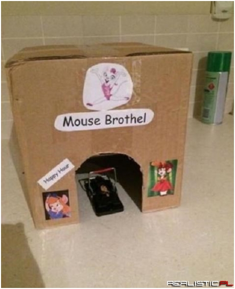 It's Been Good, Nice