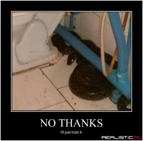 It's Safe Just to Poop Yourself