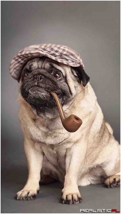 Just A Furry Old Man