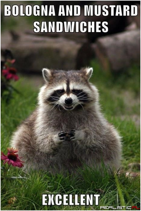 Just Before the Picnic Got Strange