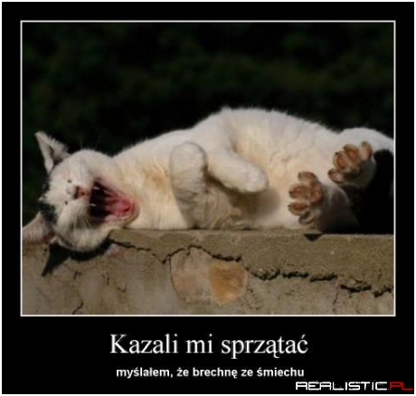 Kazali mi sprzątać