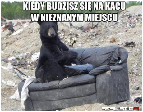 Kiedy budzisz sie na kacu...