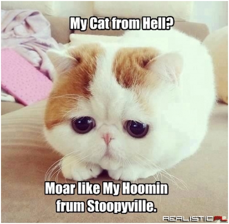 KKPS Skolarz Favorite TV Shows